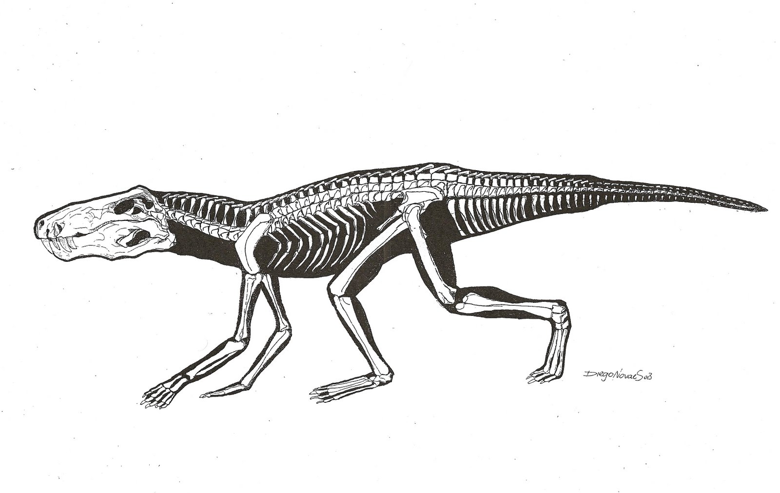 [baurusuchus[1].JPG]